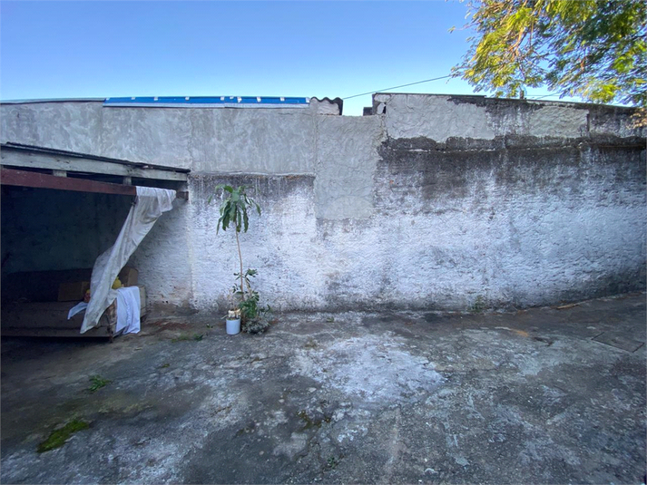 Foto REO1096467