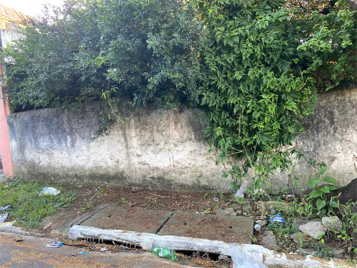 Foto REO1096467