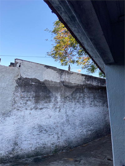 Foto REO1096467