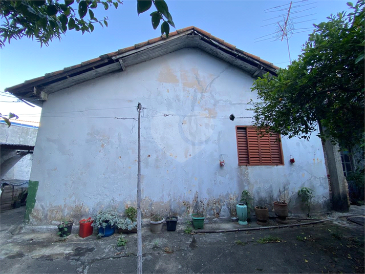 Foto REO1096467