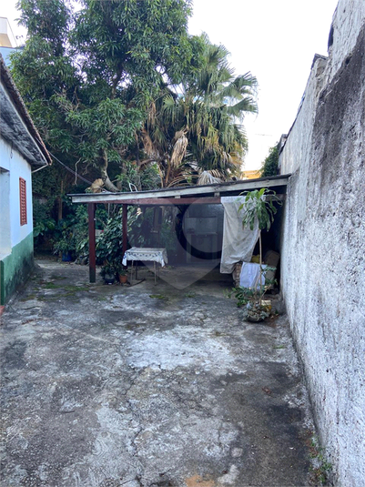 Foto REO1096467
