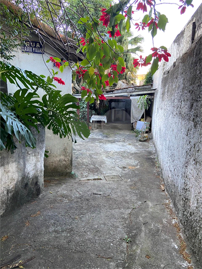 Foto REO1096467
