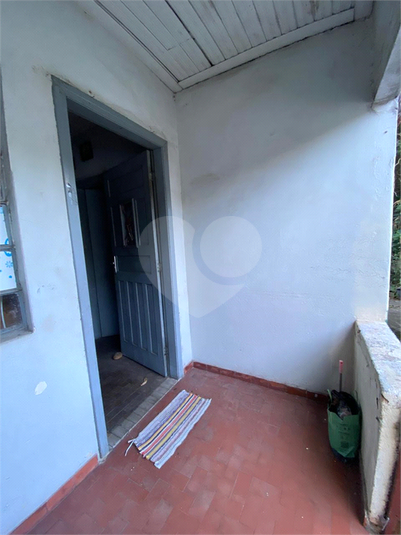 Foto REO1096467