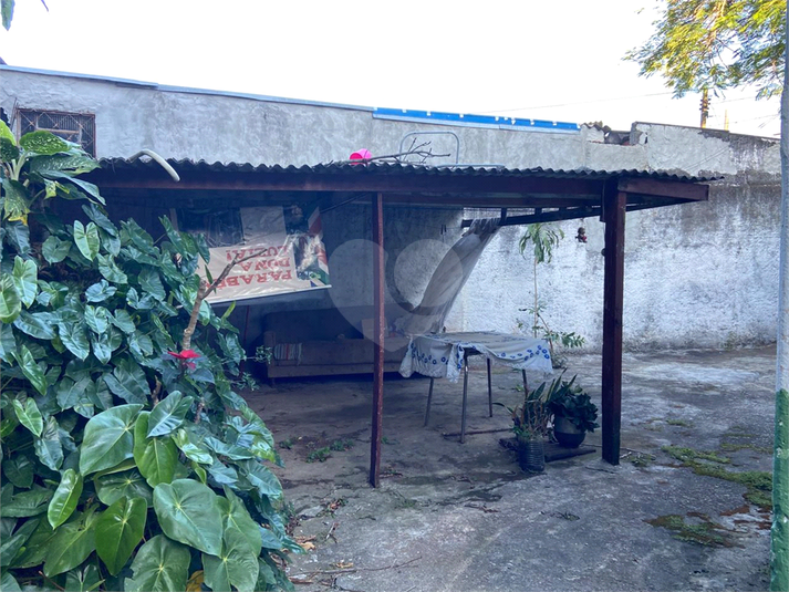 Foto REO1096467