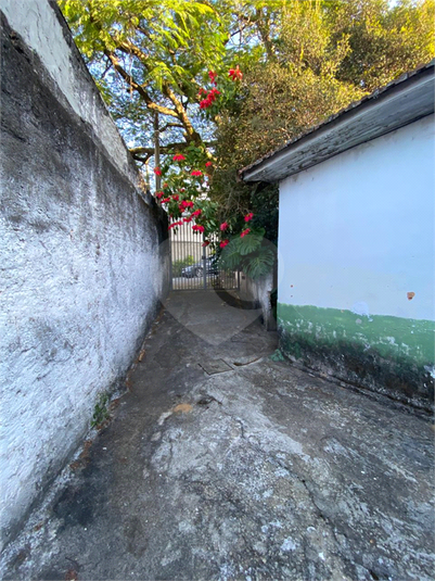 Foto REO1096467