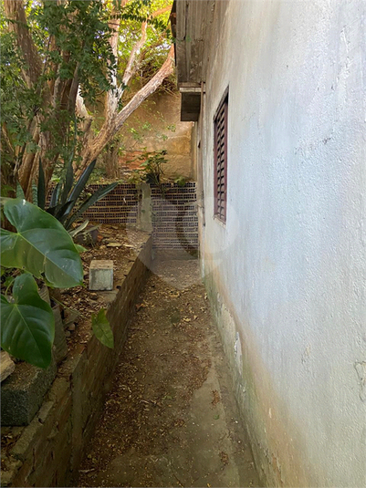 Foto REO1096467
