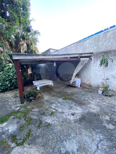 Foto REO1096467