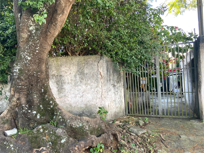Foto REO1096467