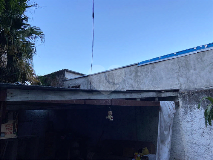 Foto REO1096467