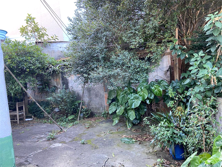 Foto REO1096467