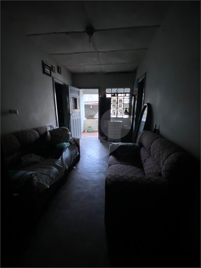 Foto REO1096467
