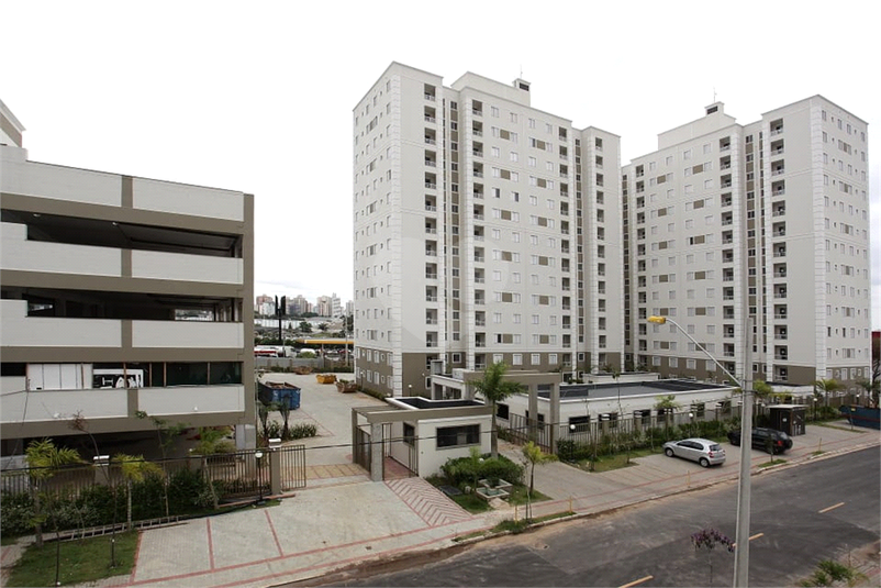 Foto REO1096473