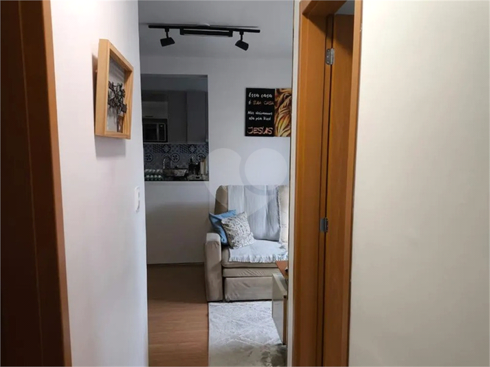 Foto REO1096473