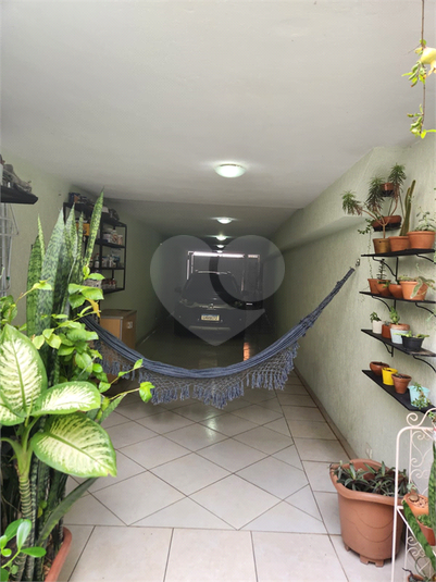 Foto REO1096476