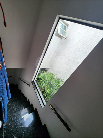 Foto REO1096476