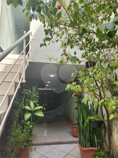 Foto REO1096476
