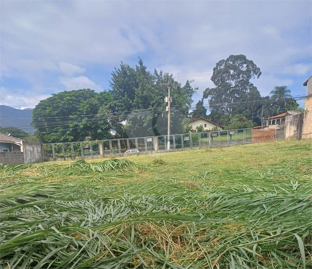 Foto REO1096478