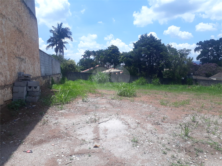 Foto REO1096478