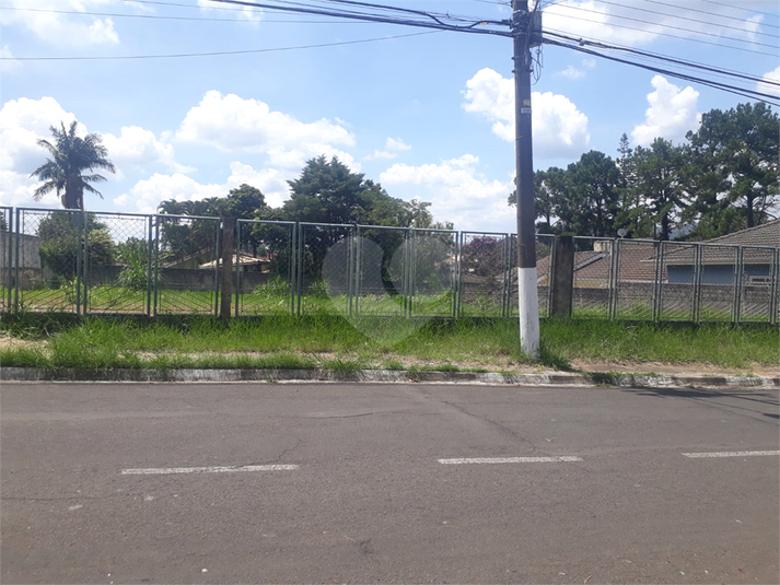 Foto REO1096478