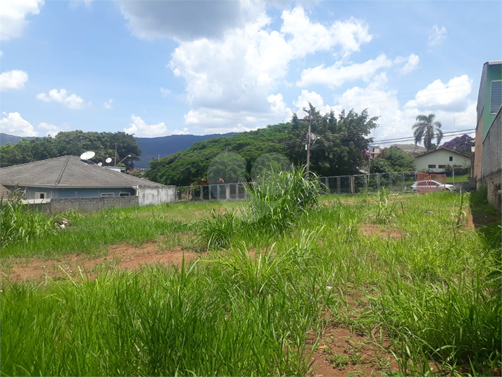 Foto REO1096478