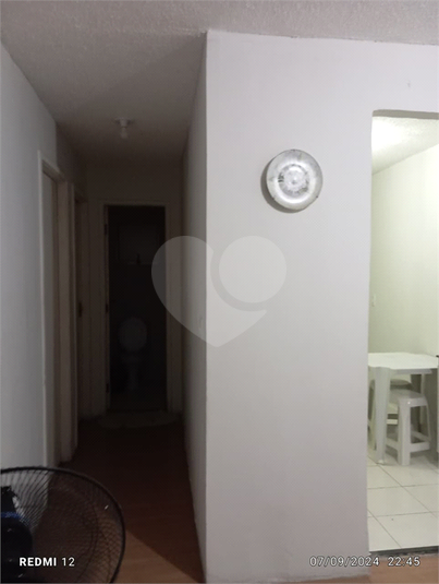 Foto REO1096487