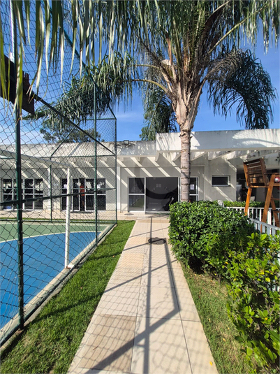 Foto REO1096490