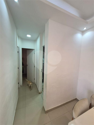 Foto REO1096490