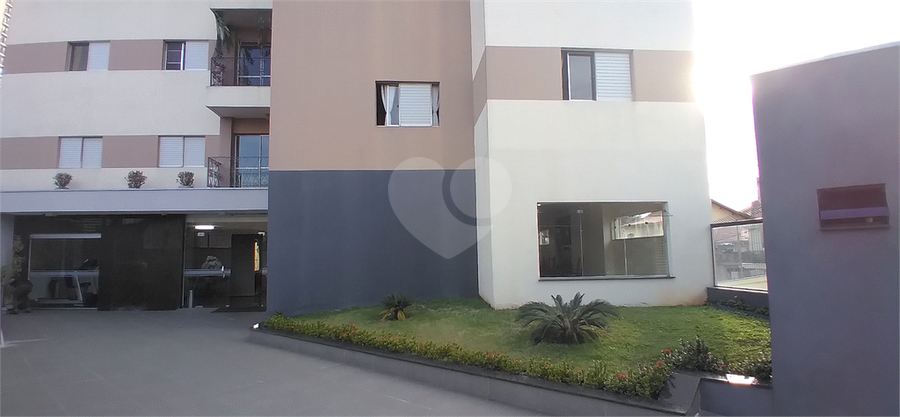 Foto REO1096493