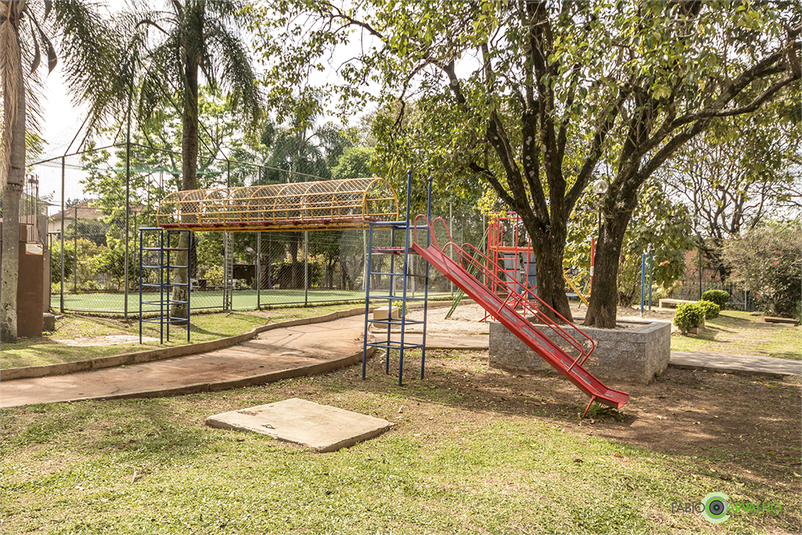 Foto REO1096494