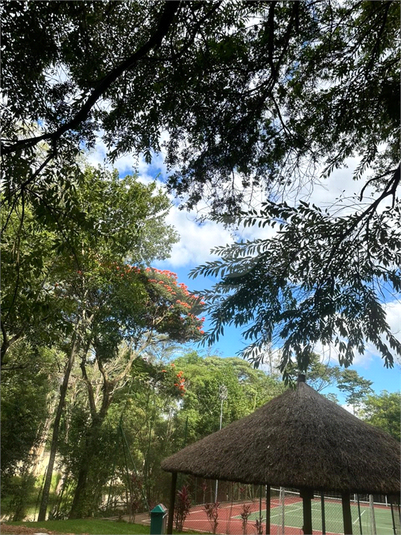 Foto REO1096495