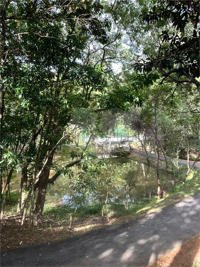 Foto REO1096495