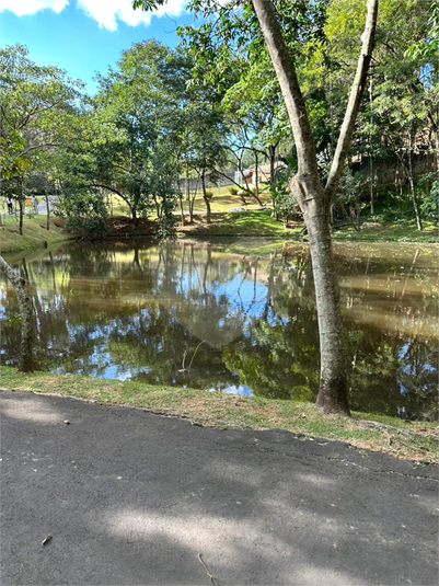 Foto REO1096495