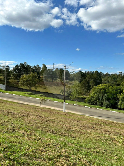 Foto REO1096495