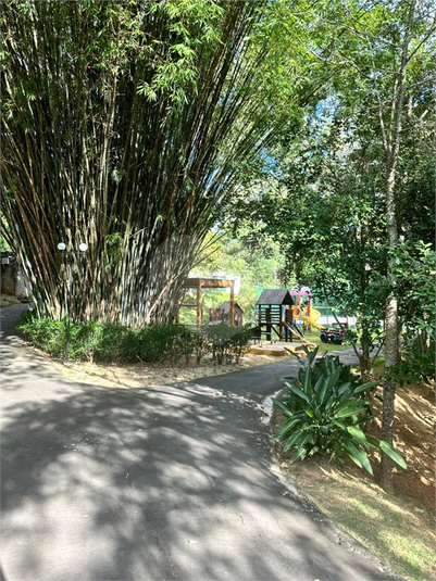 Foto REO1096495