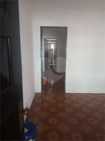 Foto REO1096498