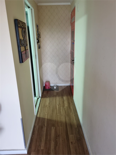 Foto REO1096502
