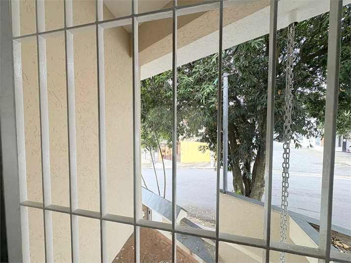 Foto REO1096514