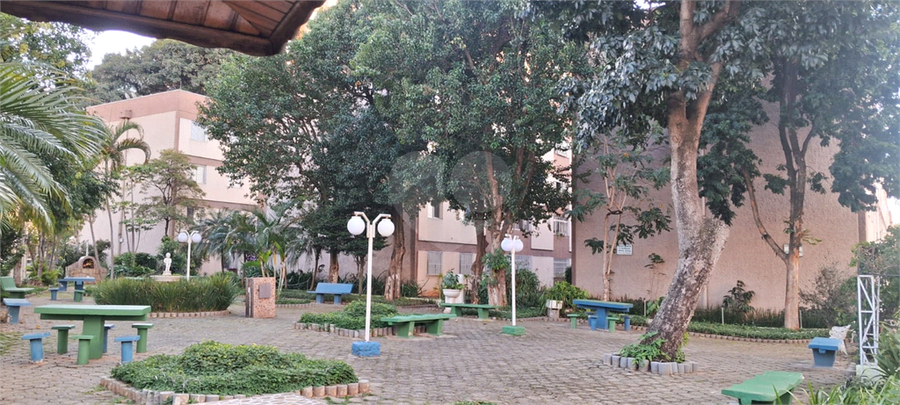 Foto REO1096516