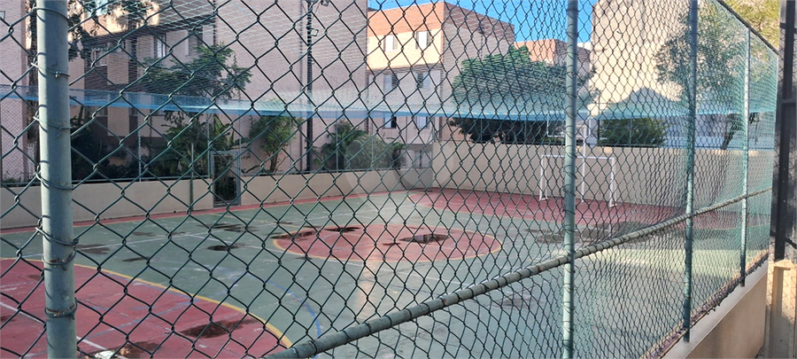 Foto REO1096516