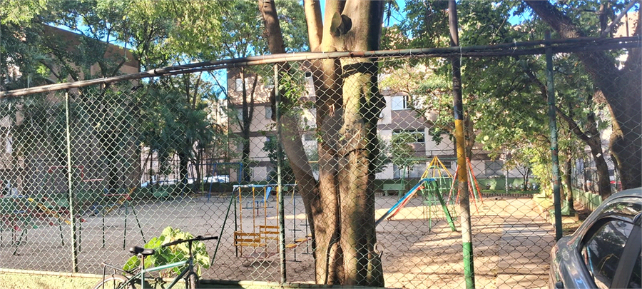 Foto REO1096516