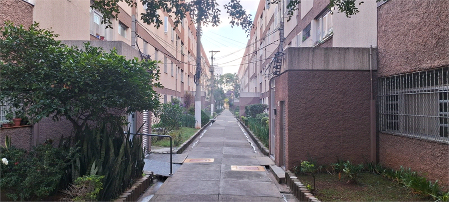 Foto REO1096516