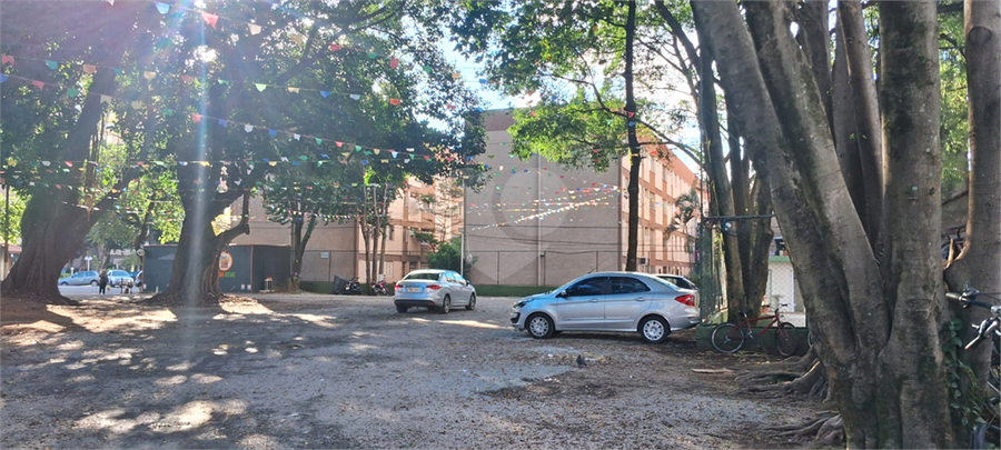Foto REO1096516