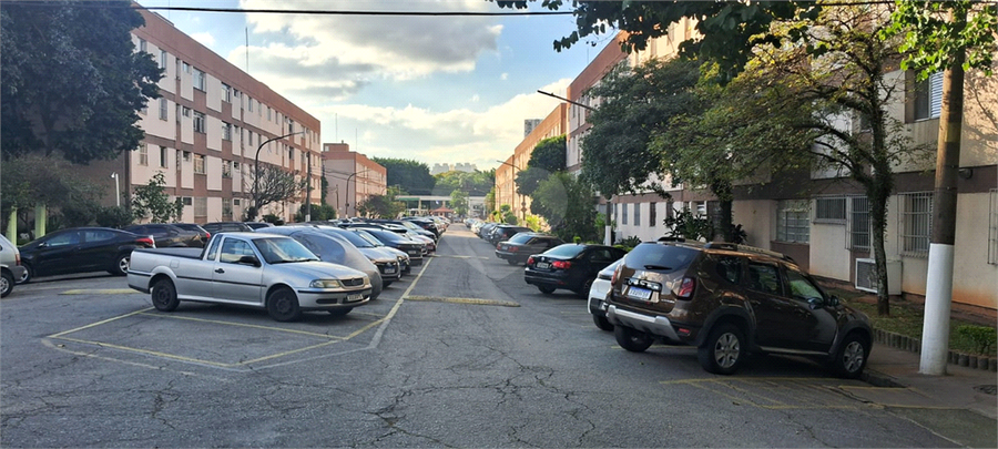 Foto REO1096516