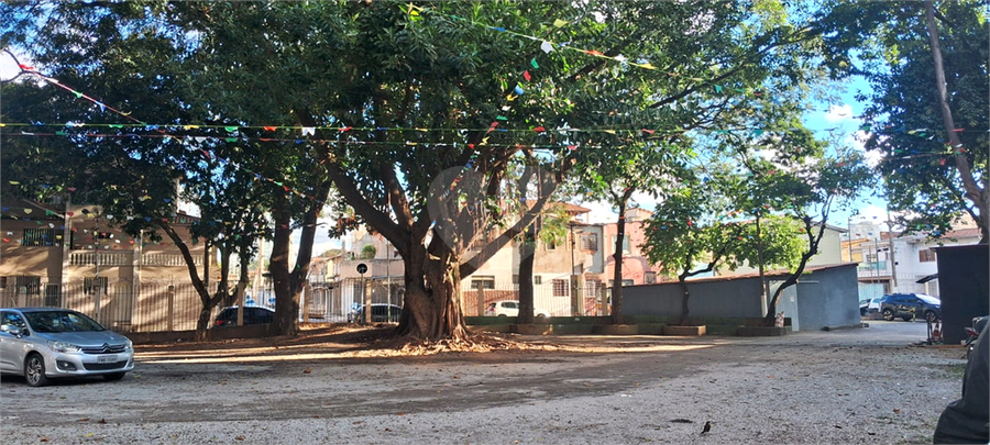 Foto REO1096516