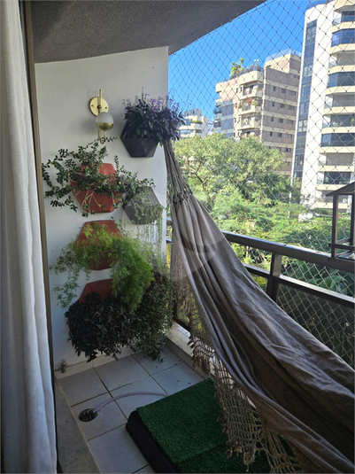 Foto REO1096522