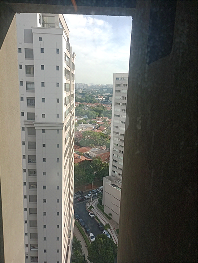Foto REO1096527