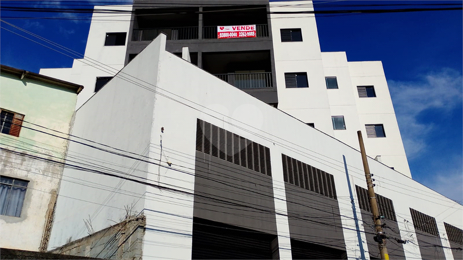 Foto REO1096529