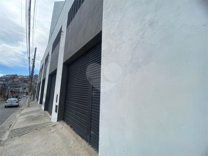 Foto REO1096530