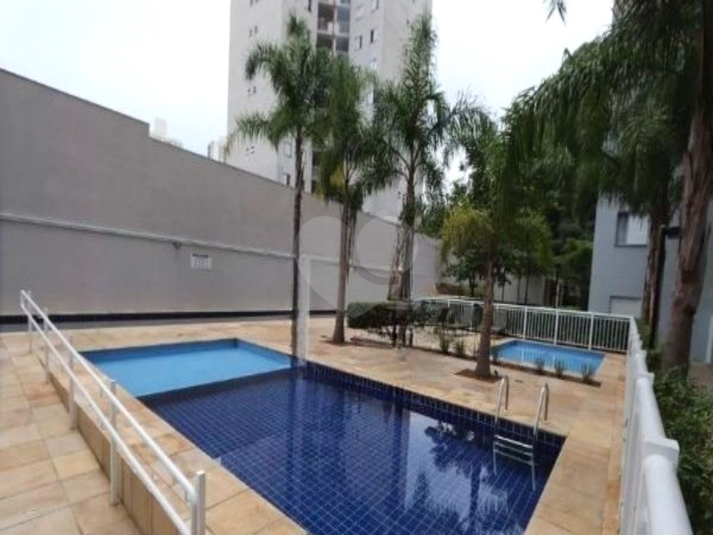 Foto REO1096532