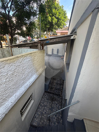 Foto REO1096533